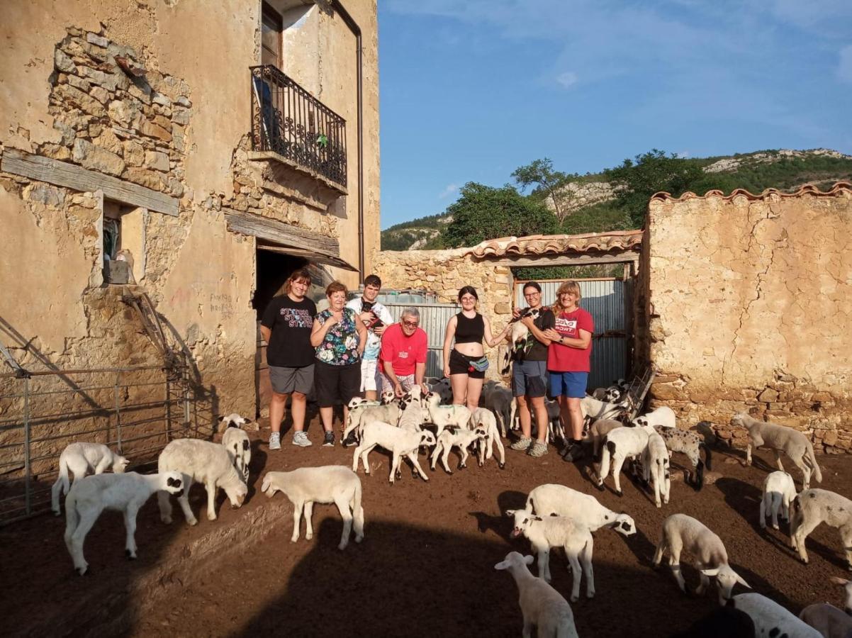 Casa Rural Amador Villarroya de los Pinares 外观 照片